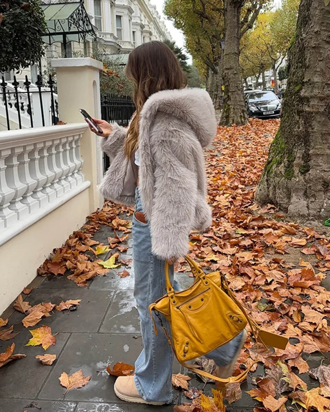 Dana Faux Fur Hooded  Jacket